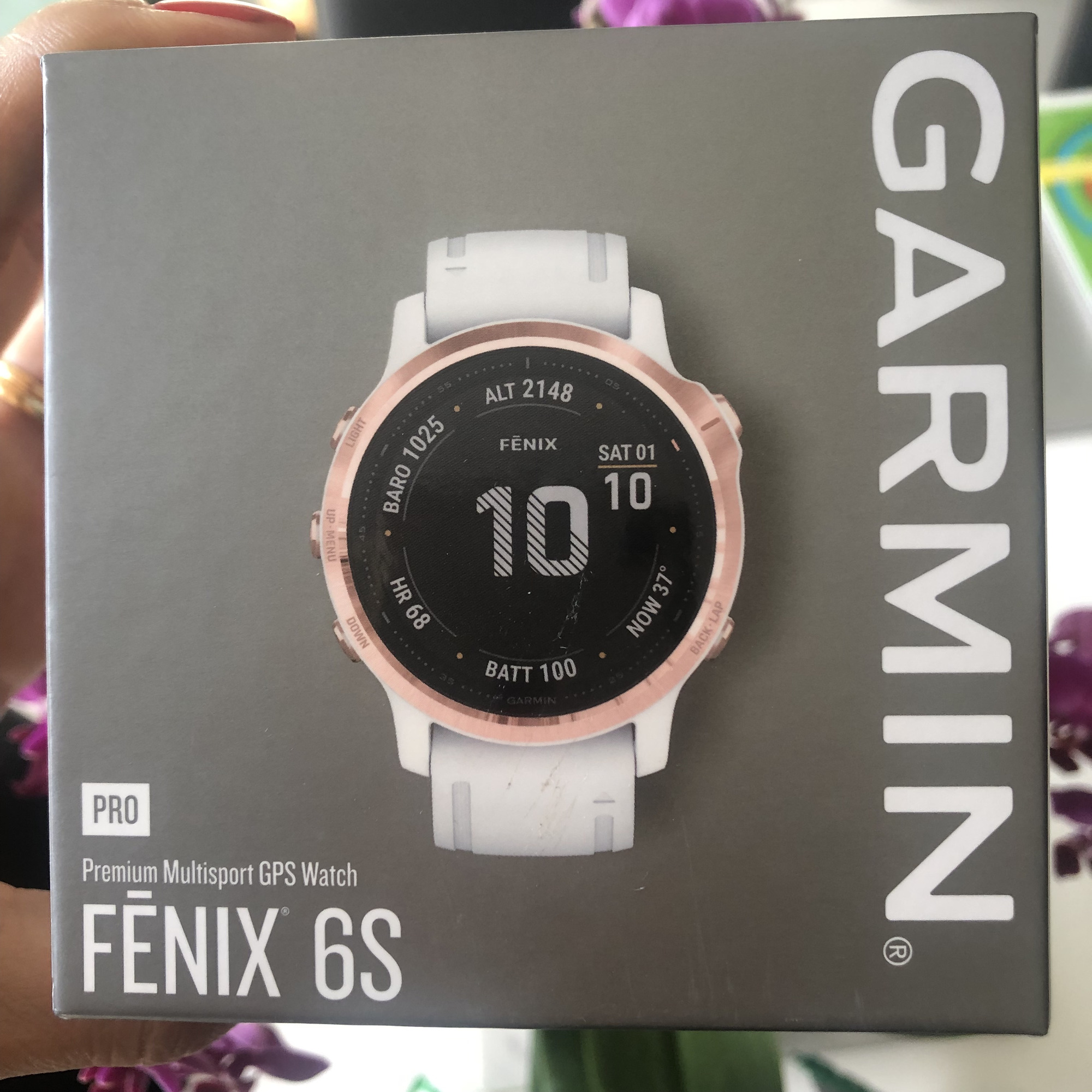 Garmin FENIX 6S Pro