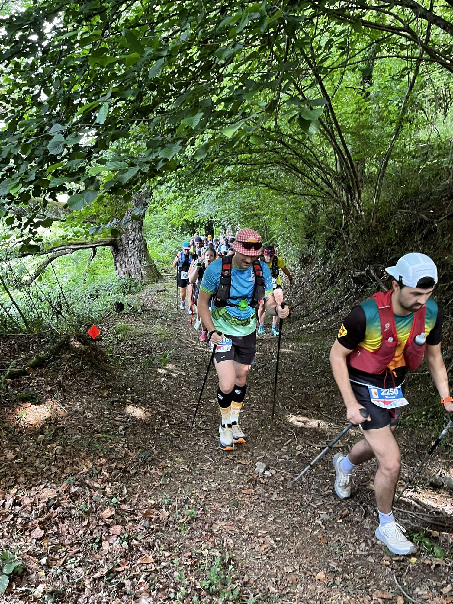 Evadict Bâtons trail runing 3 brins carbone