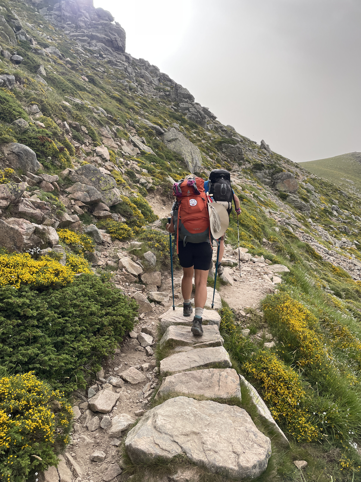 deuter ACT LITE 45+10 SL Femme