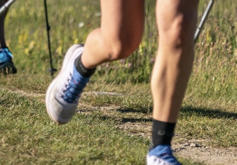 Salomon Pulsar trail pro