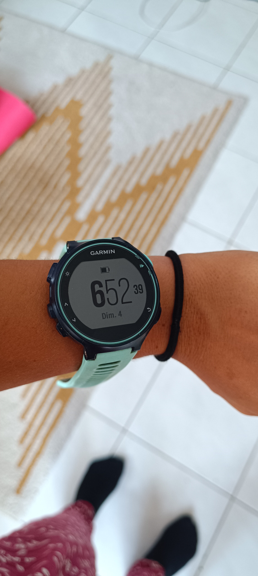 Garmin 735xt