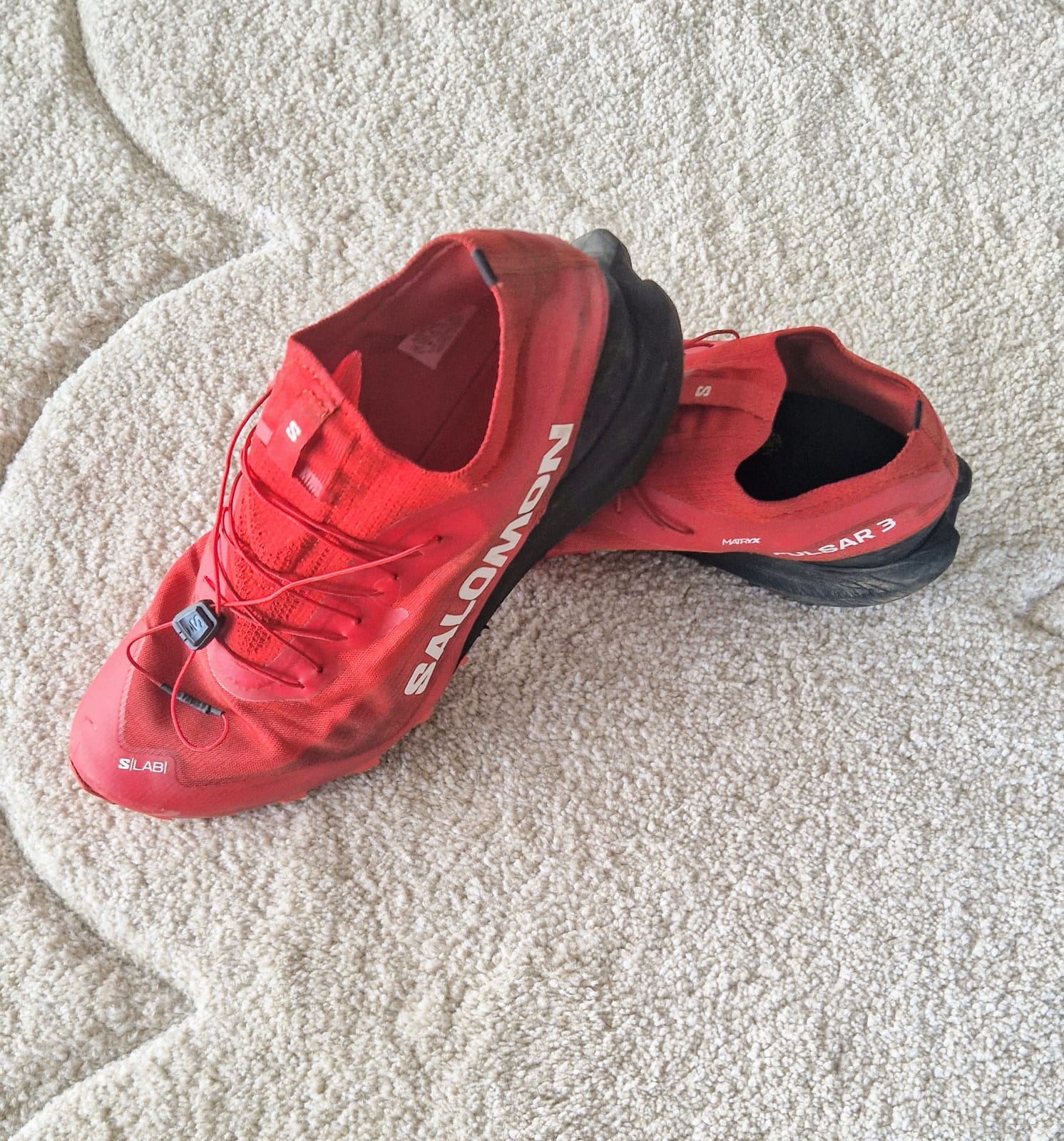 Salomon sense 7 sg review on sale