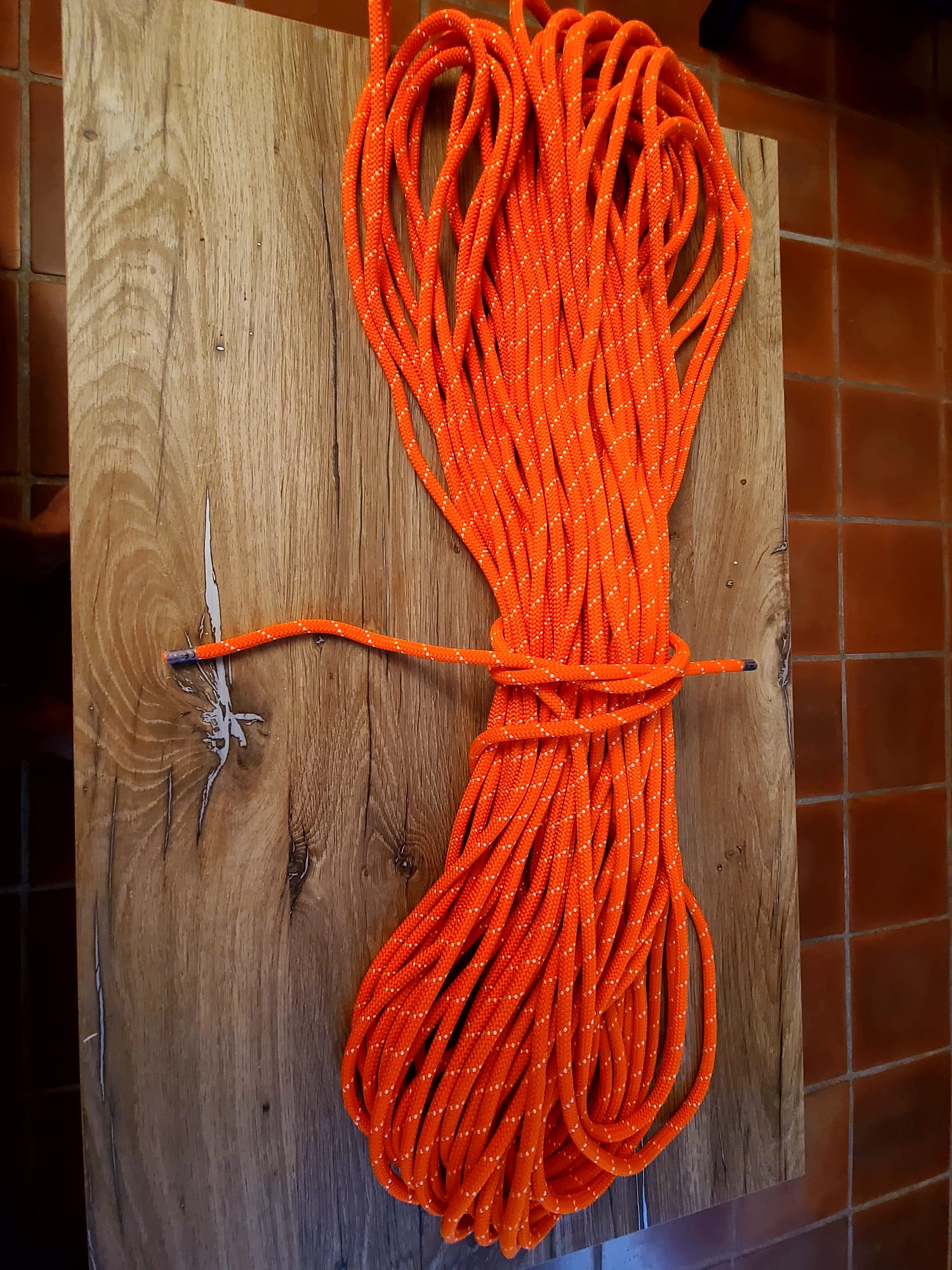 Petzl Push 9mm