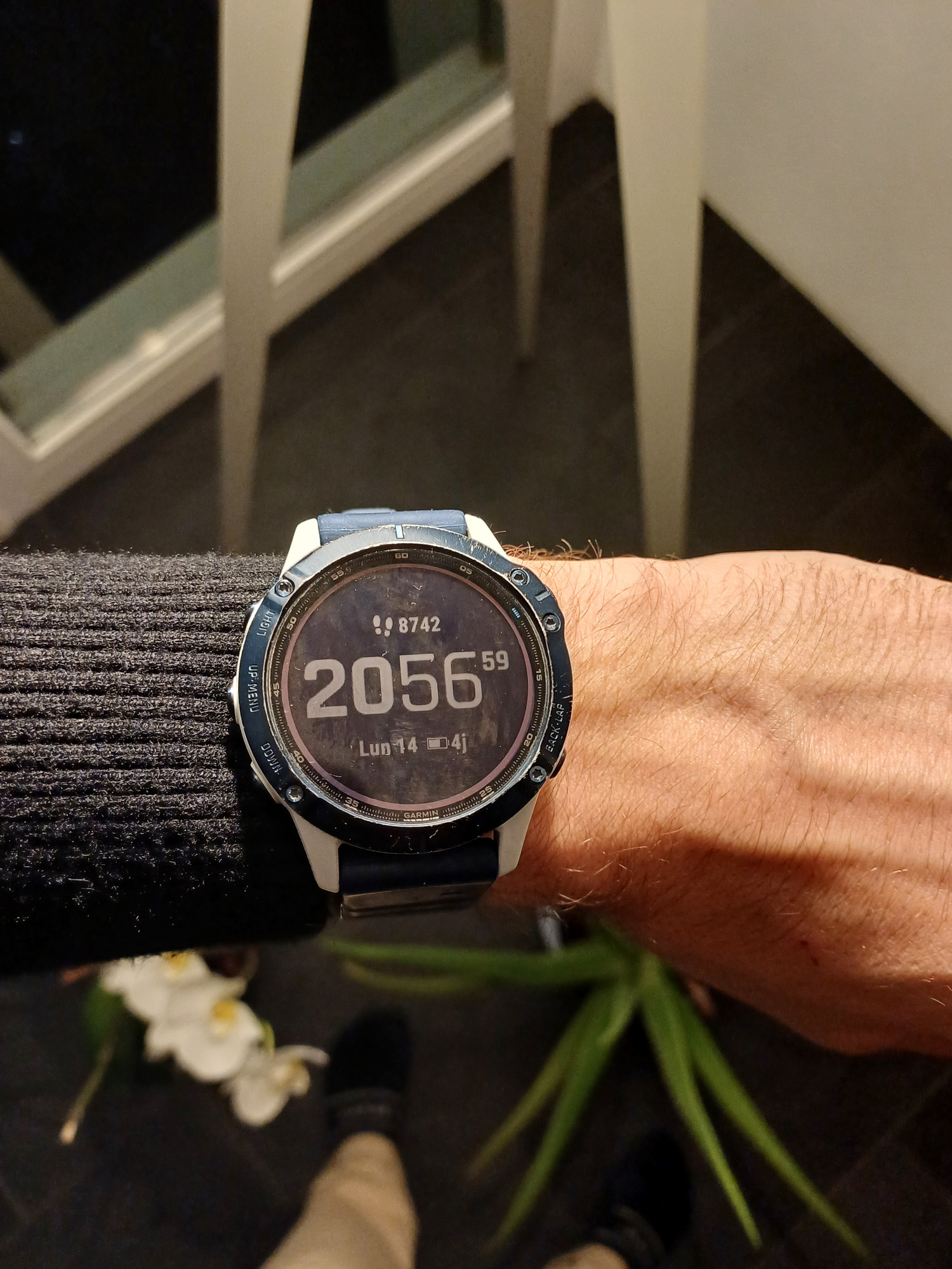 Garmin fenix 6 Pro