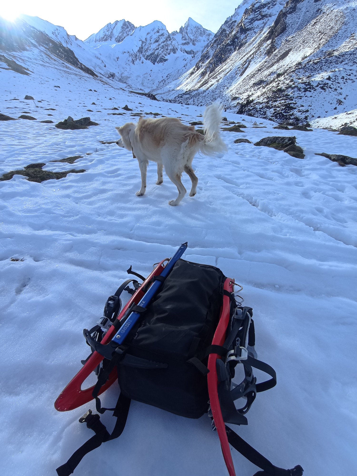 Simond Alpinism 22