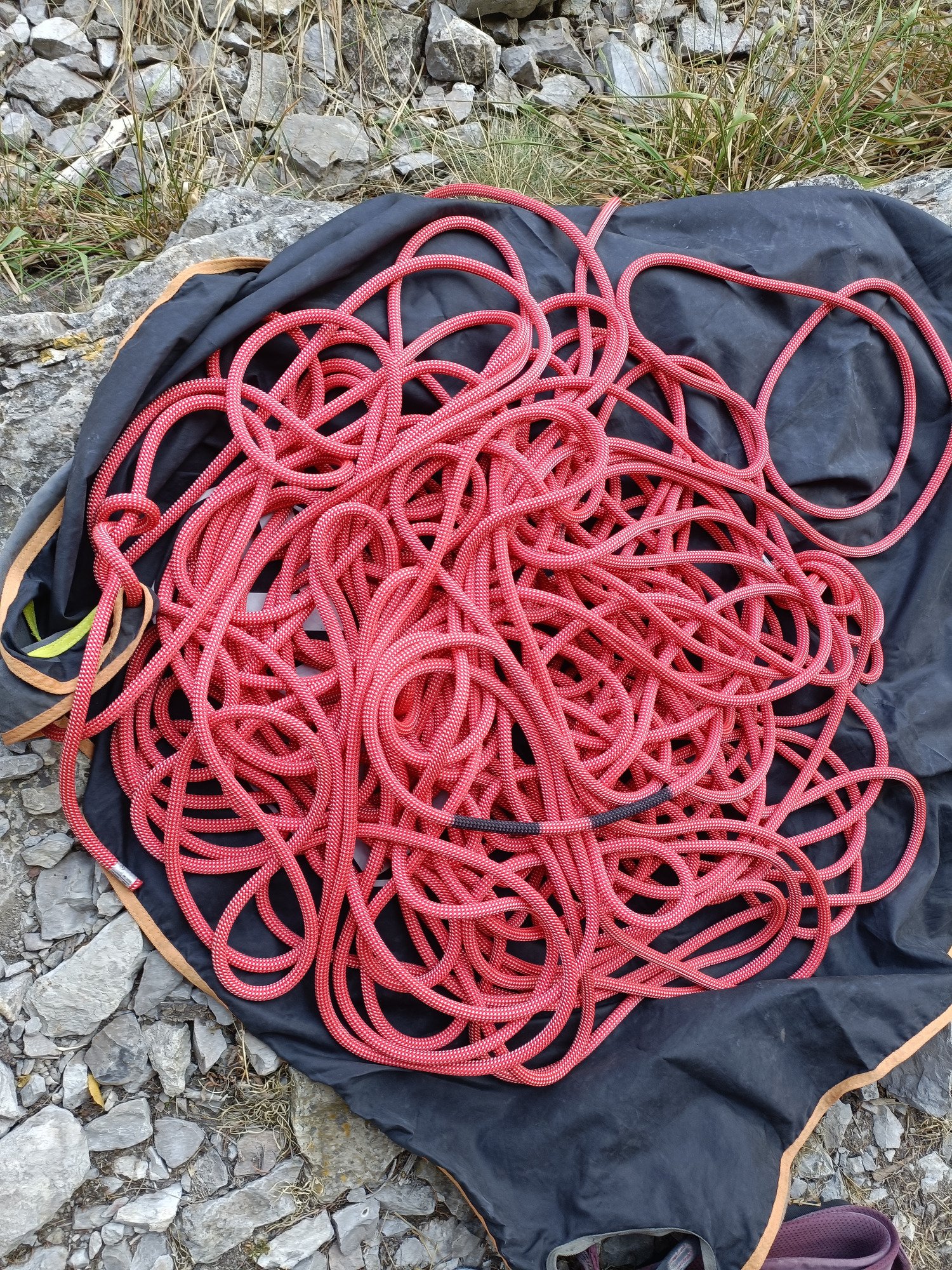 Petzl Arial