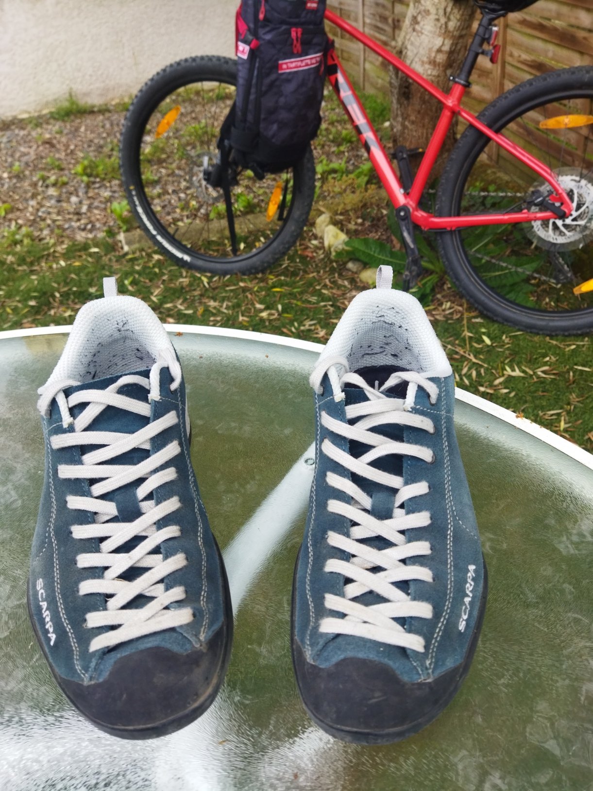 Scarpa Mojito