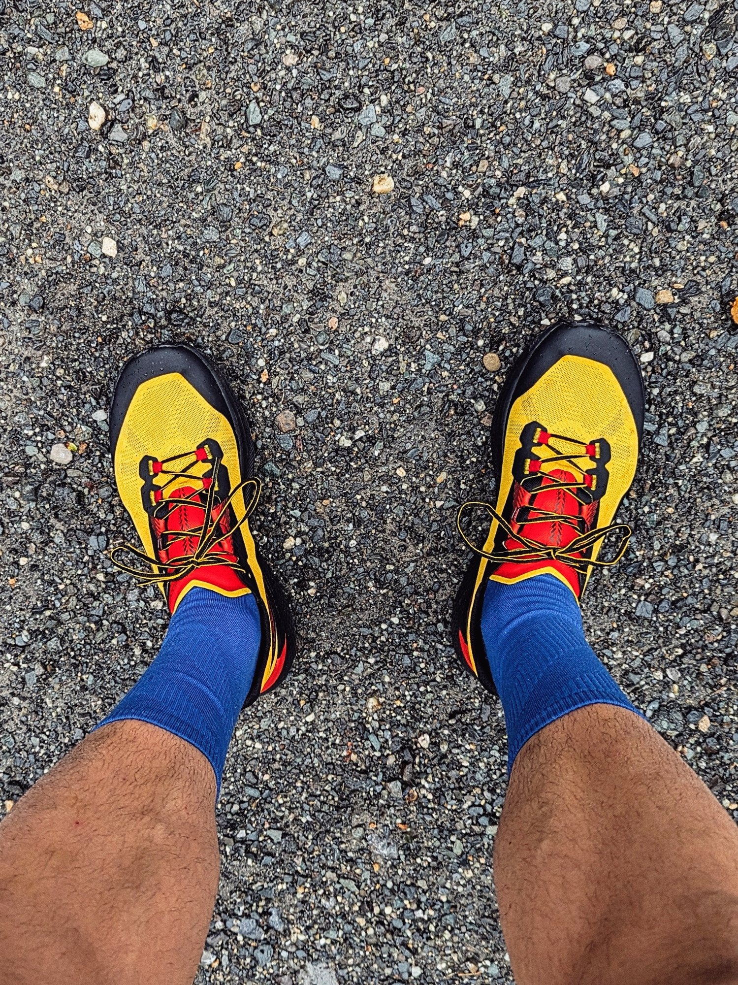 La Sportiva prodigio pro