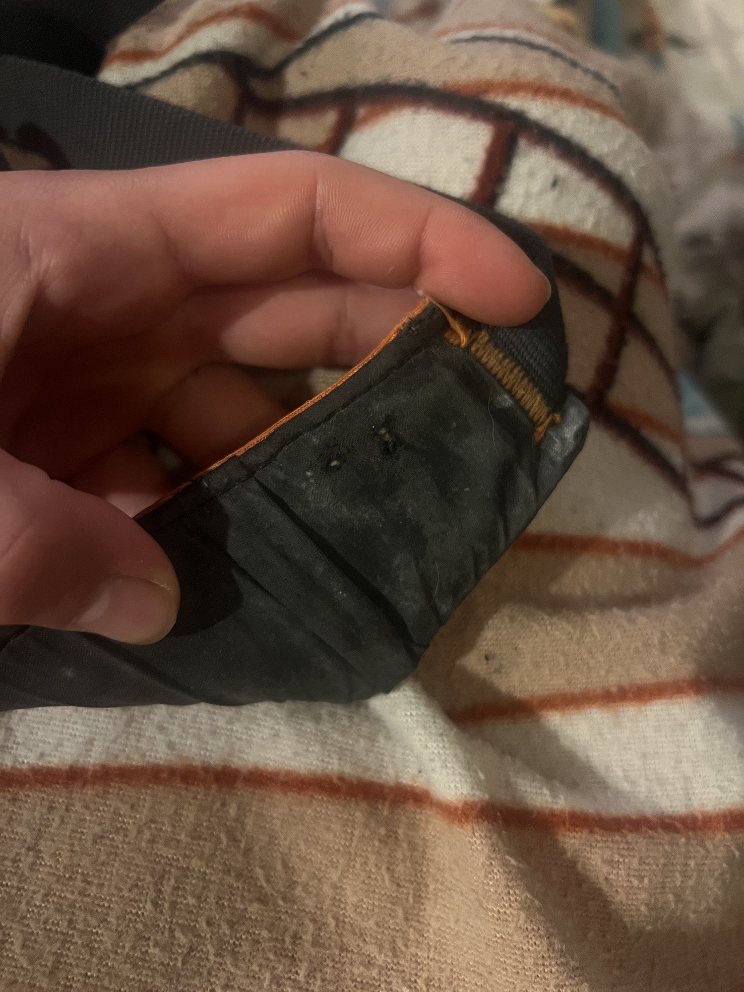 Edelweiss Harnais DART