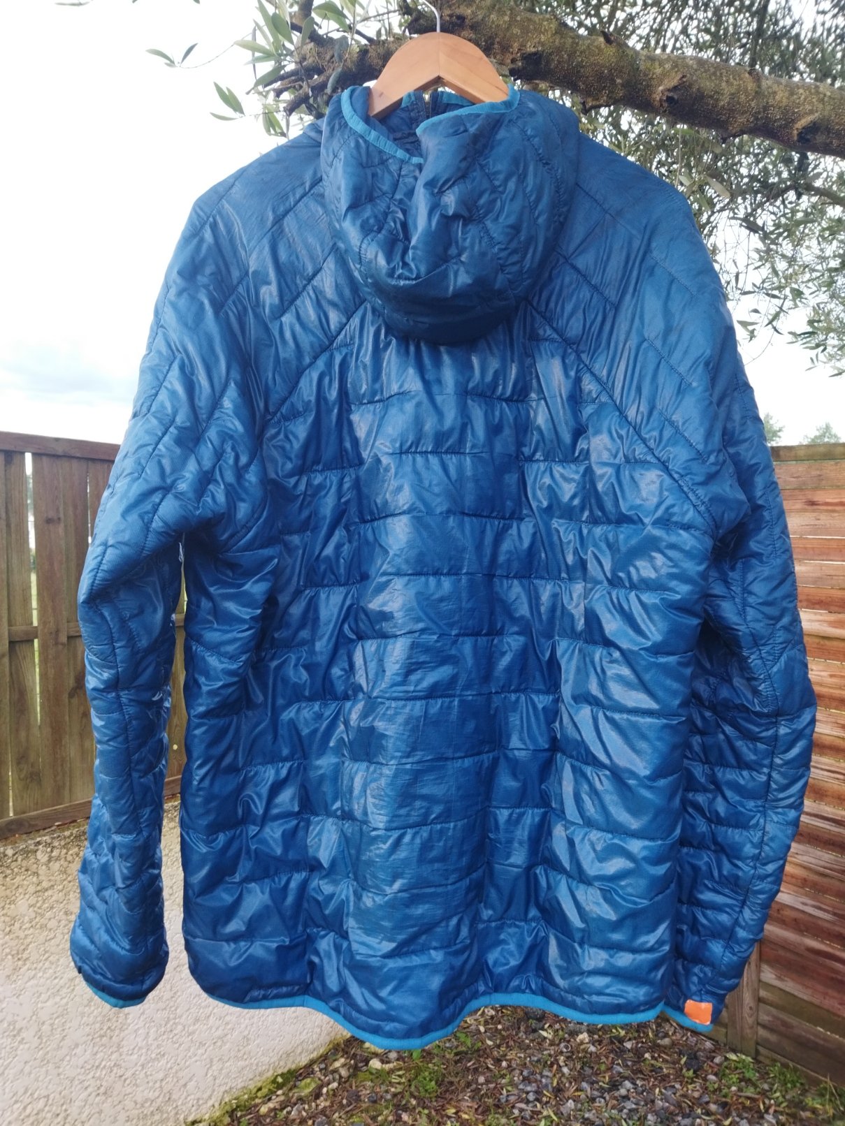 Patagonia Micro Puff Hoody