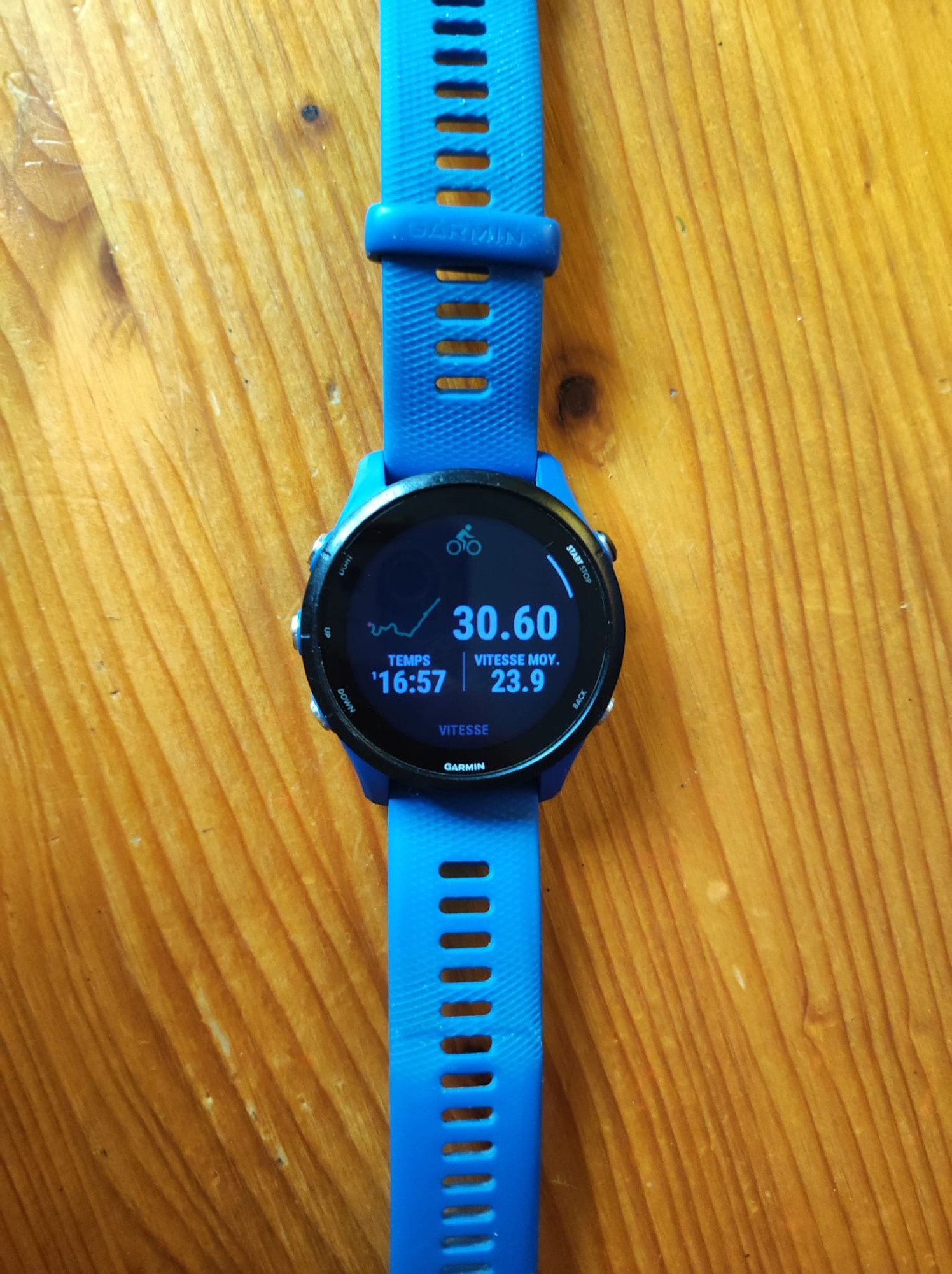 Garmin Forerunner 255