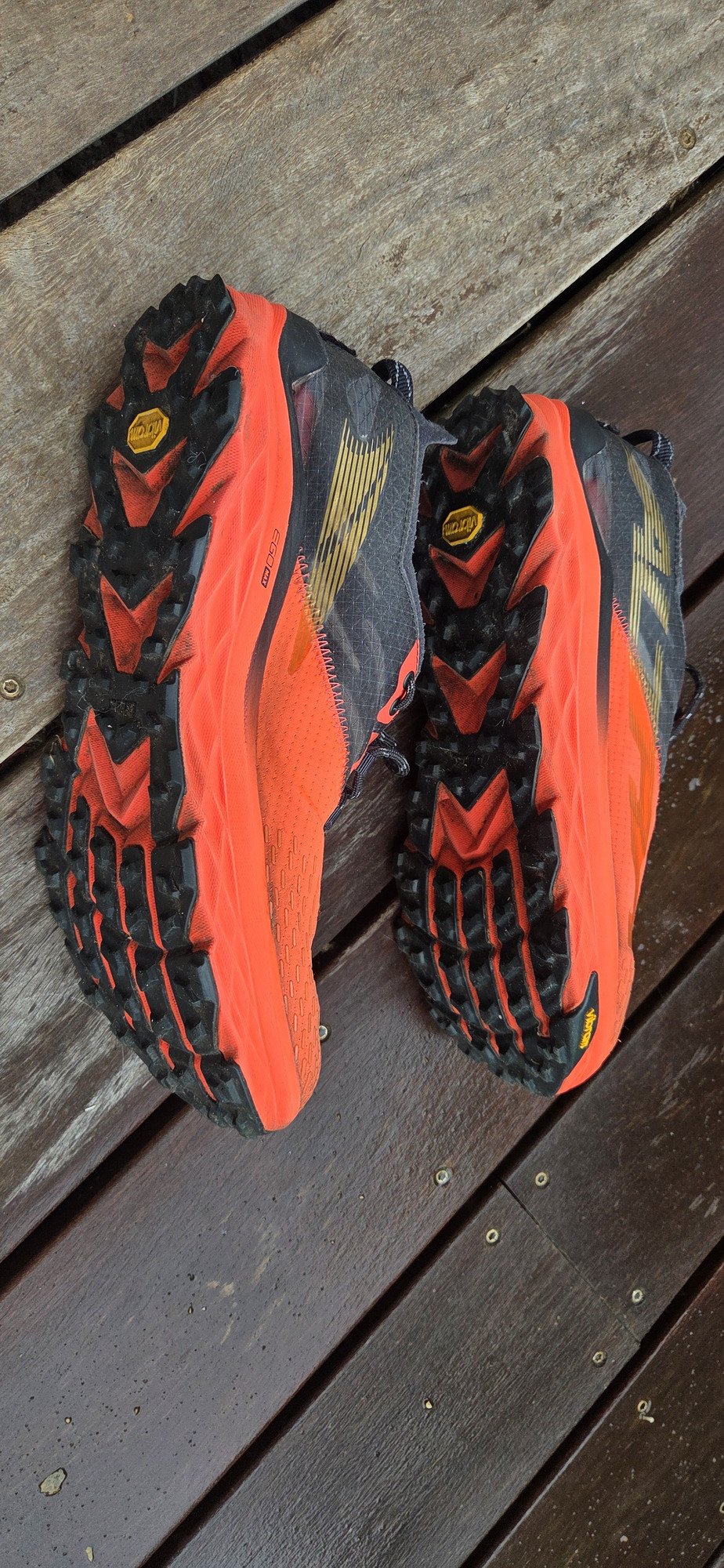 Altra Mont Blanc