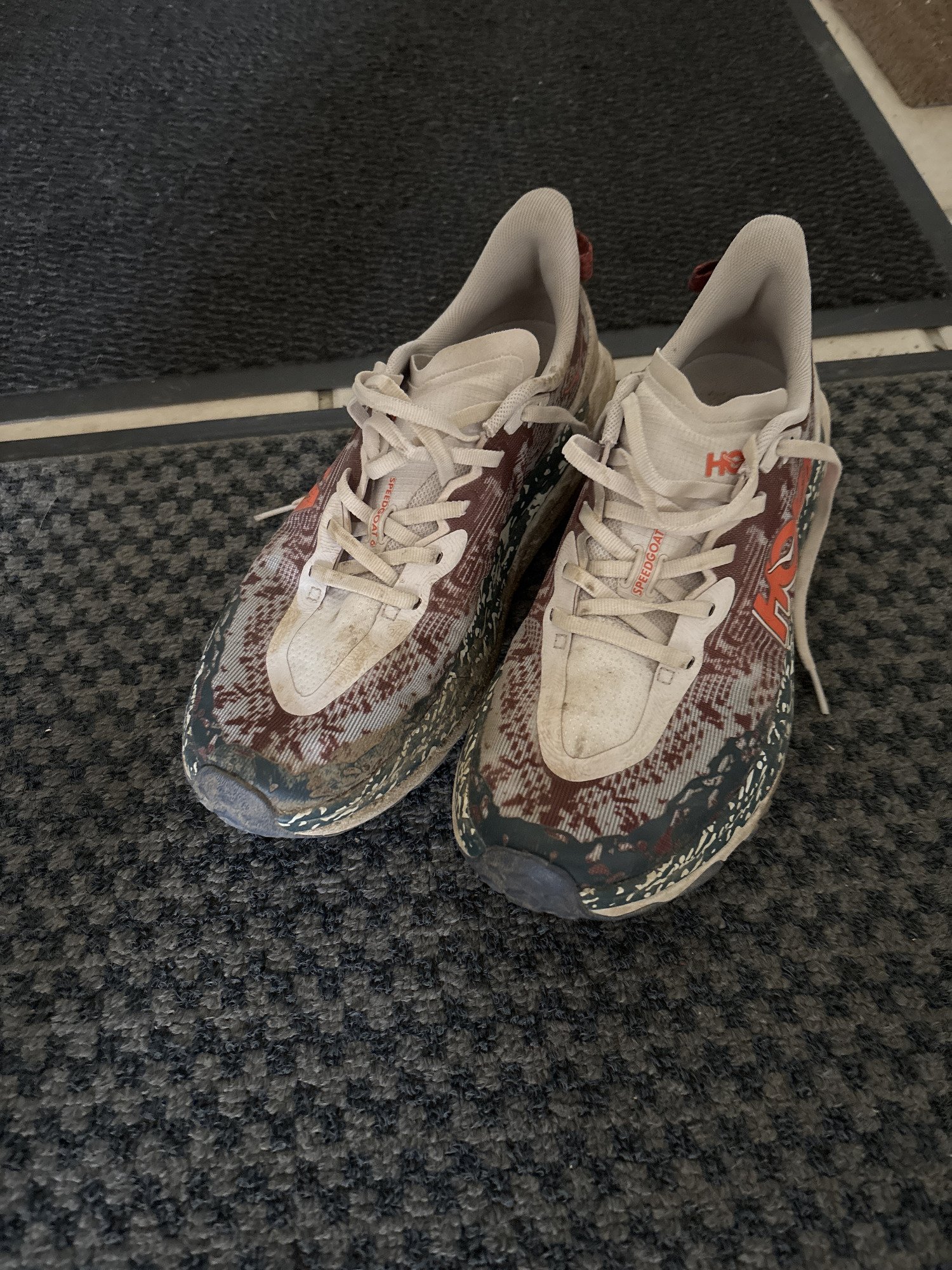 Hoka Speedgoat 6