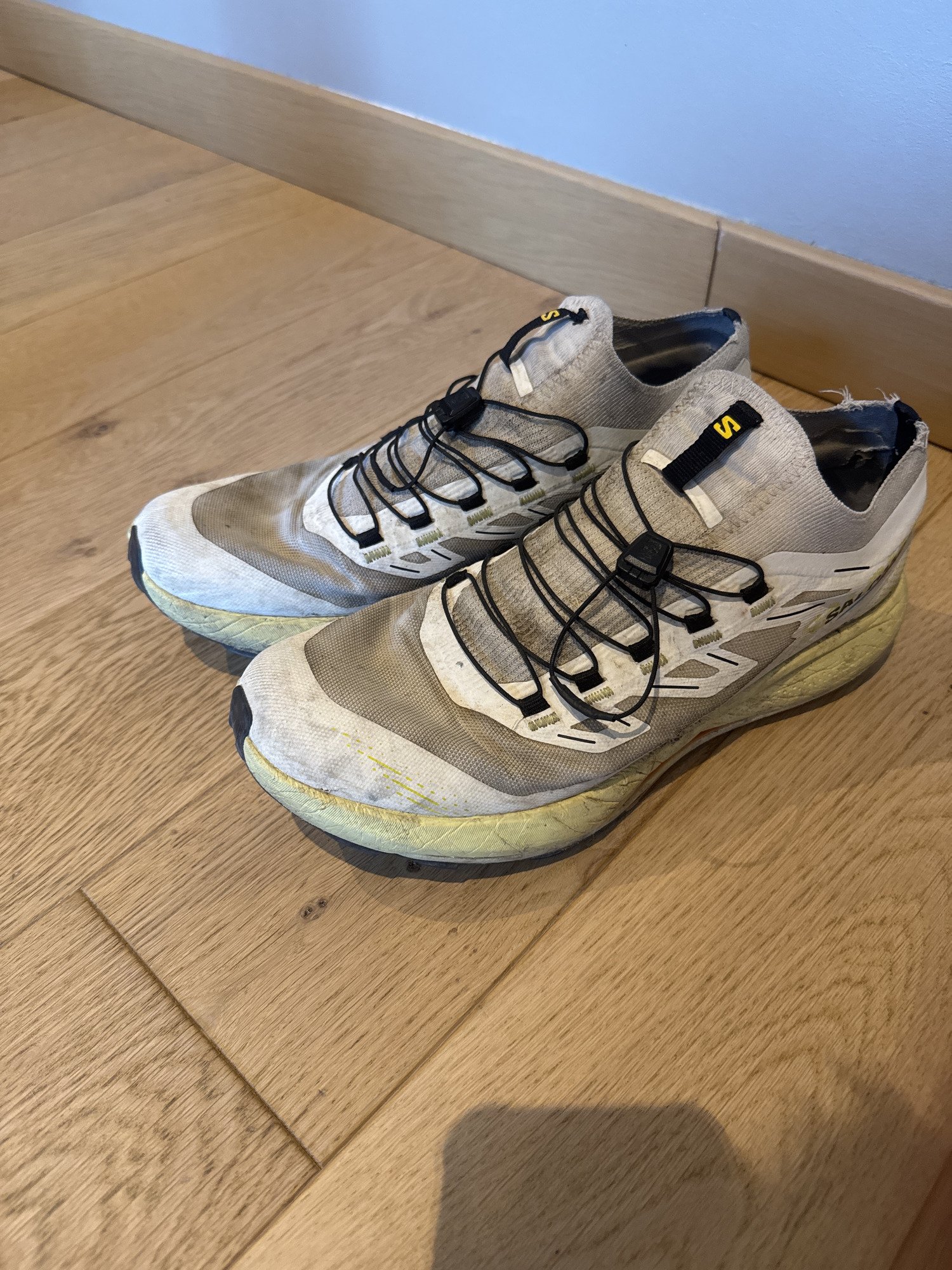 Salomon Pulsar Trail Pro 2