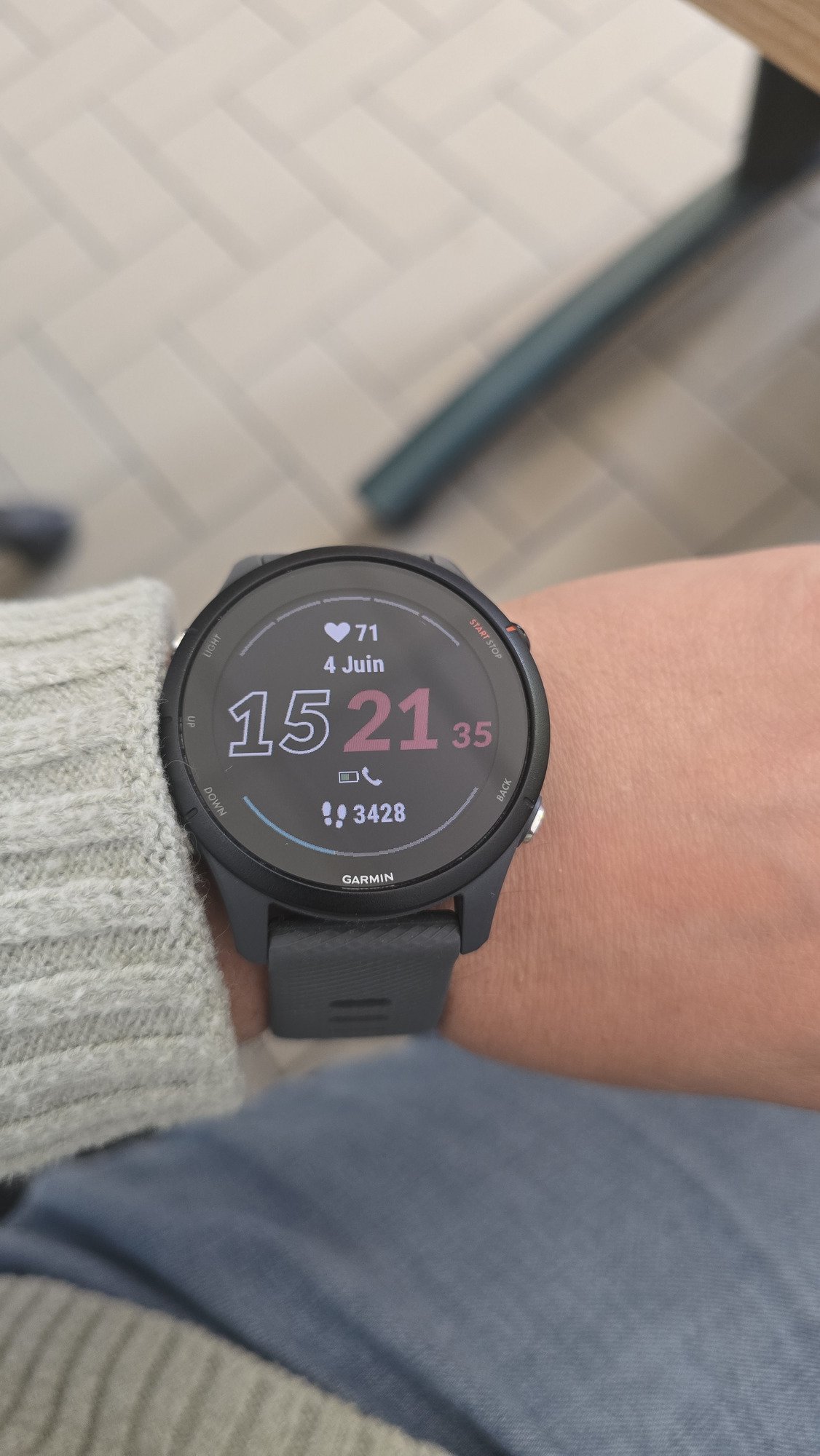 Garmin Forerunner 255