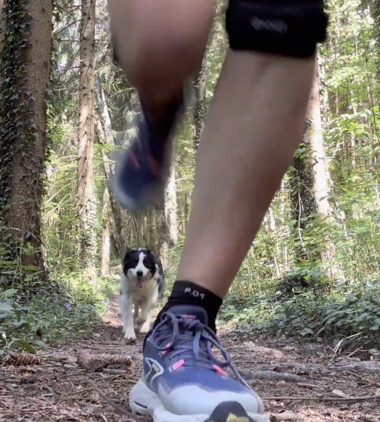 Brooks Cascadia
