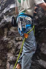 Mammut assist belay resistor