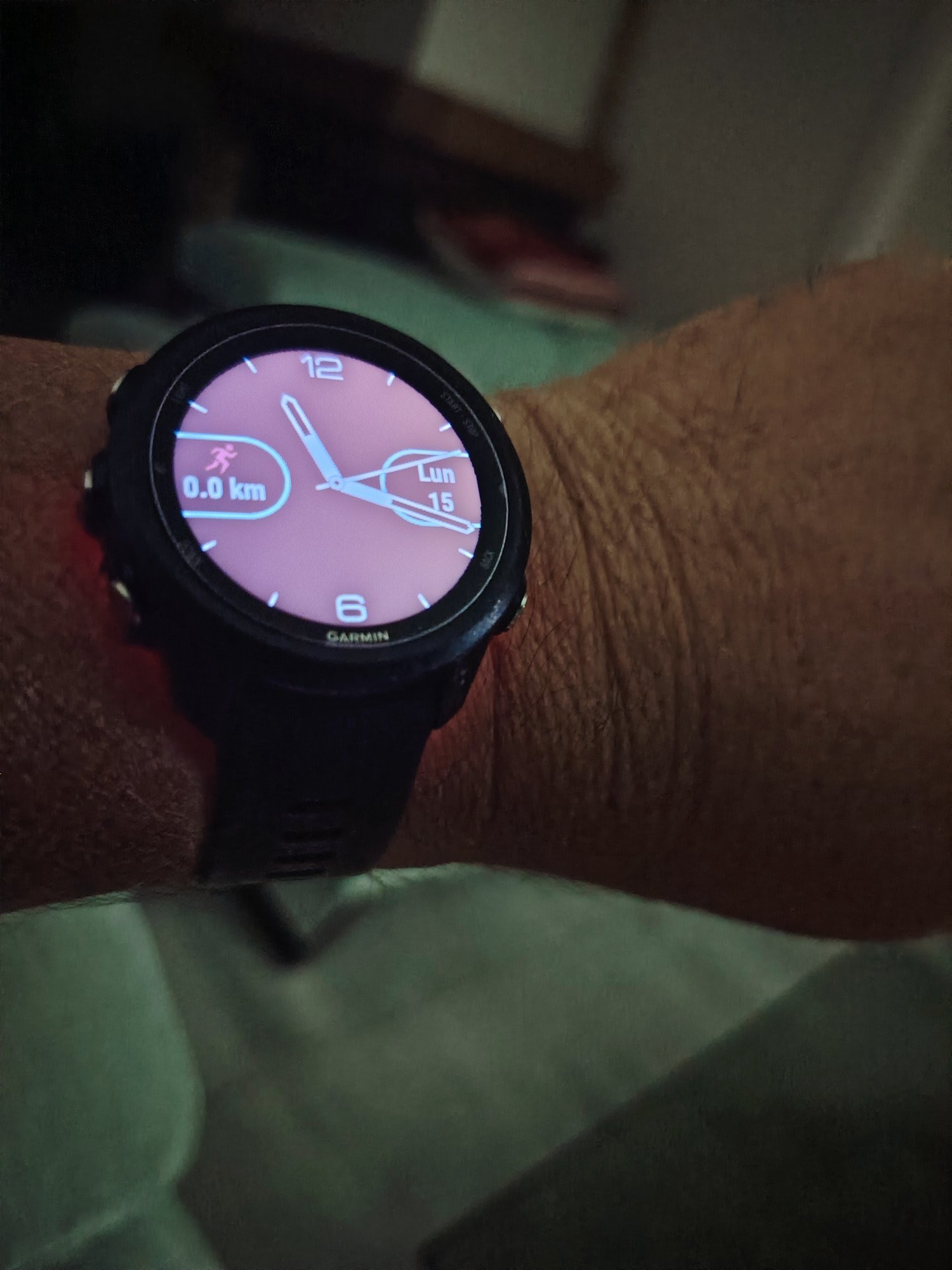 Garmin Forerunner 645