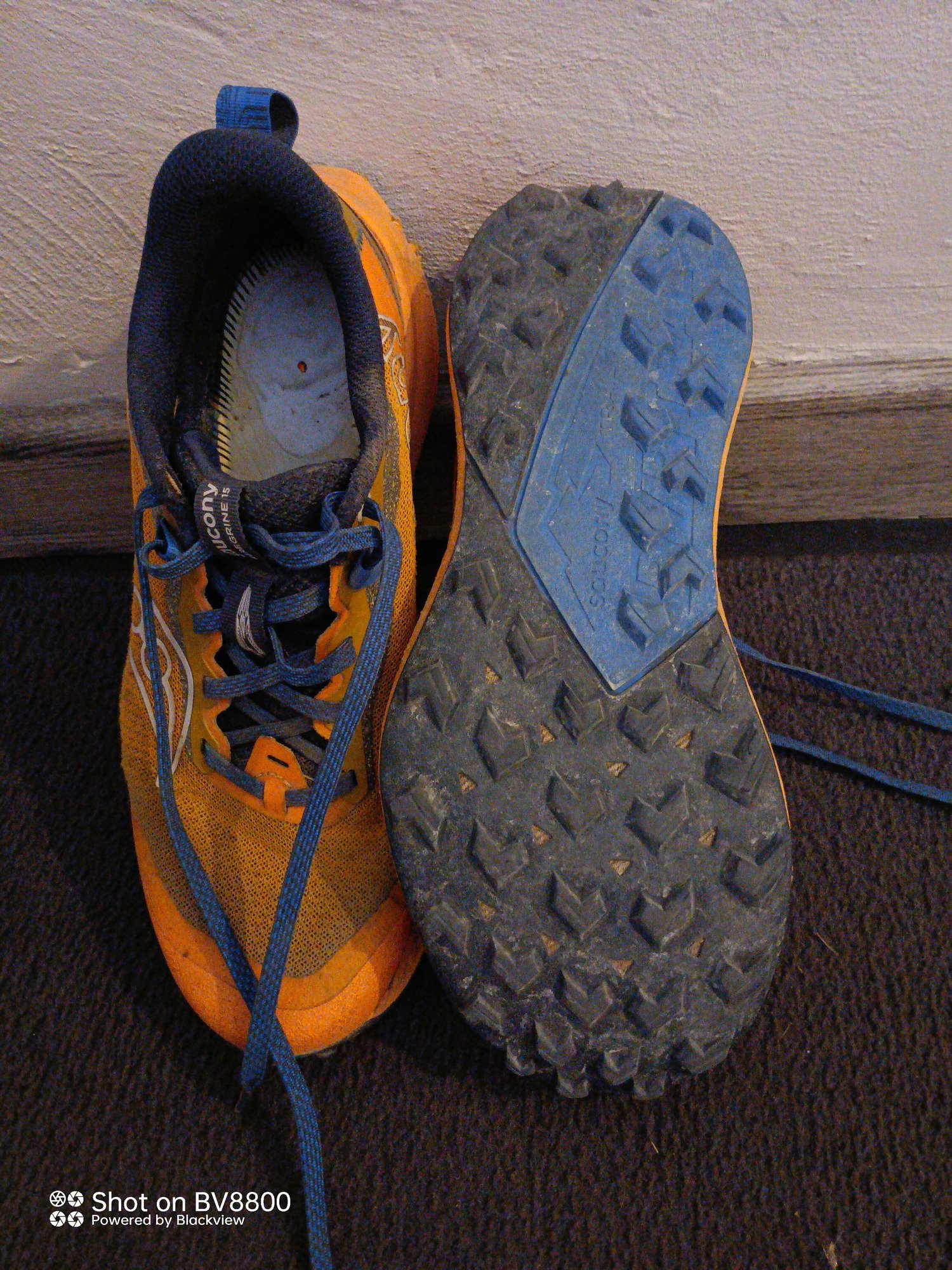 Saucony Pelegrine 15