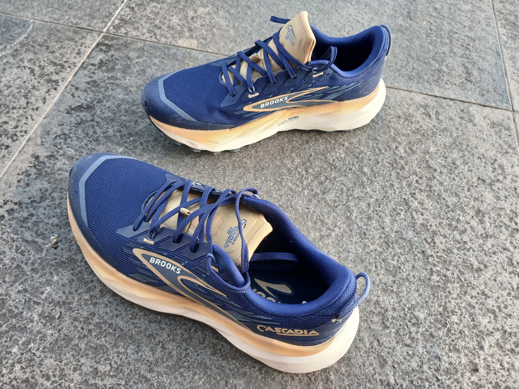 Brooks Cascadia 19
