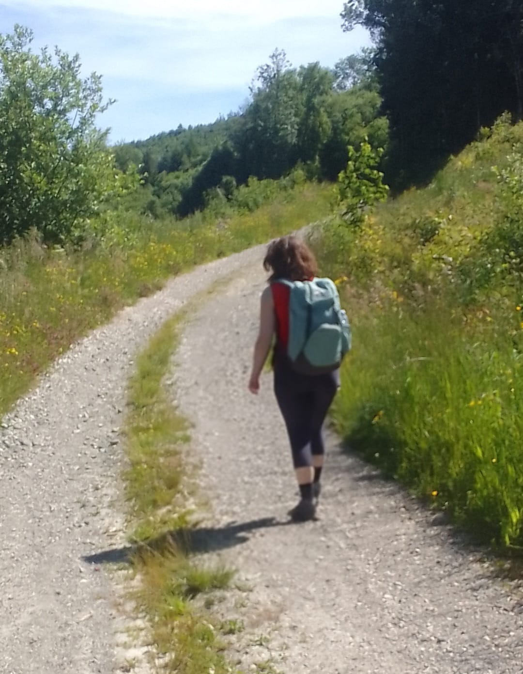 deuter Walker 24