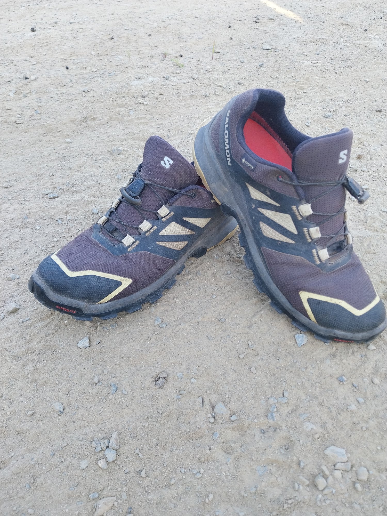 Salomon AX Nekoma GTX