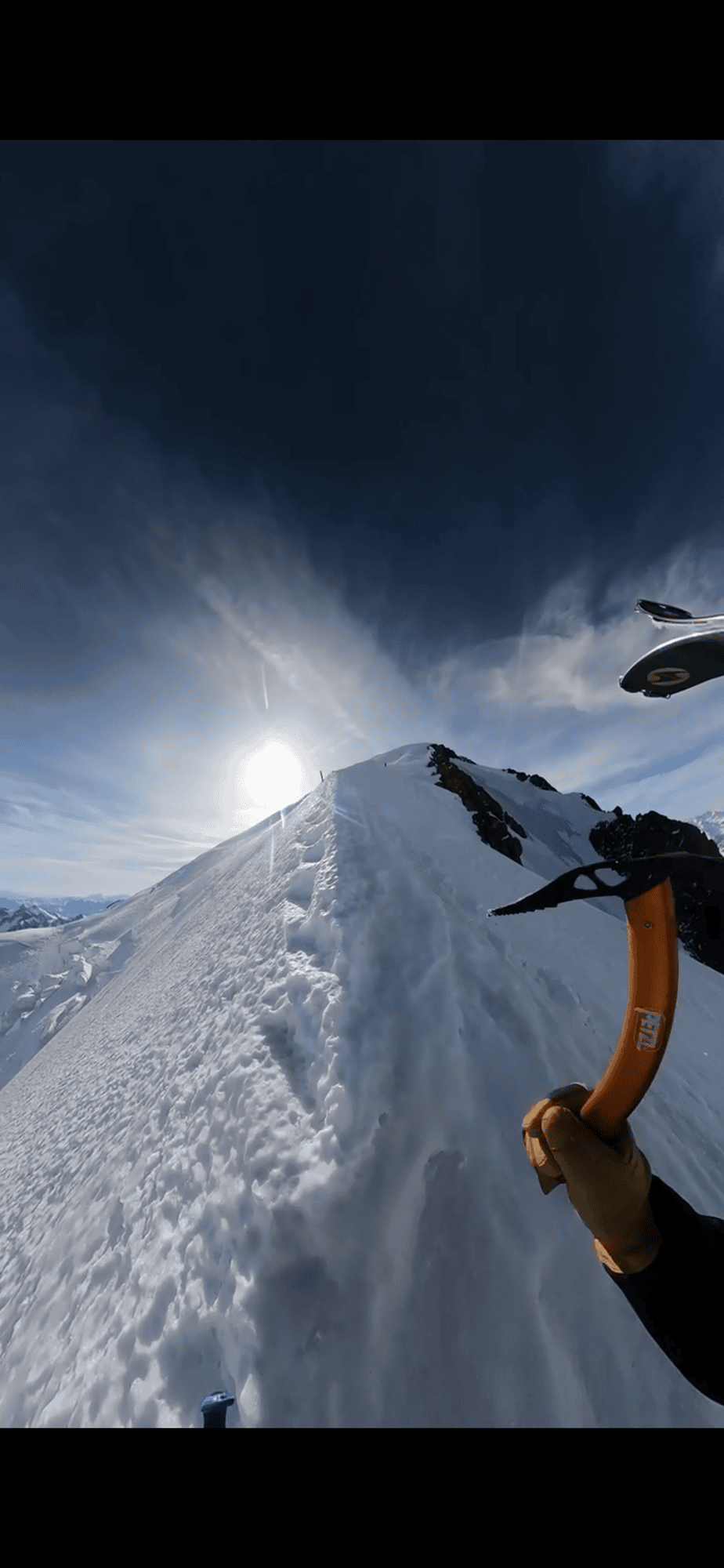 Petzl Gully