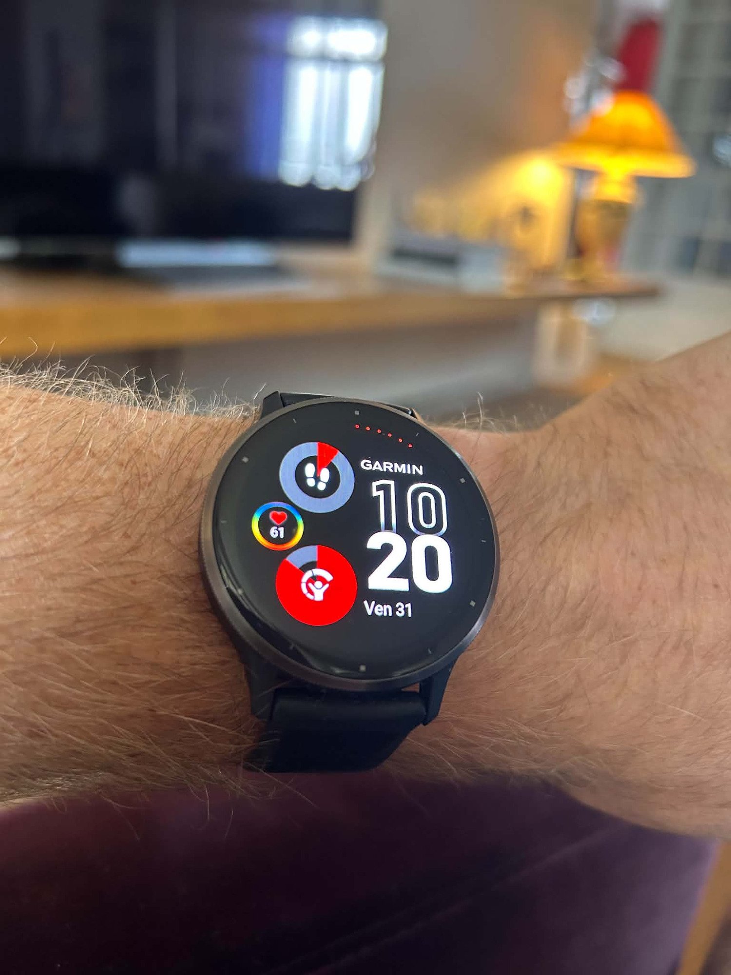 Garmin Venu 2s