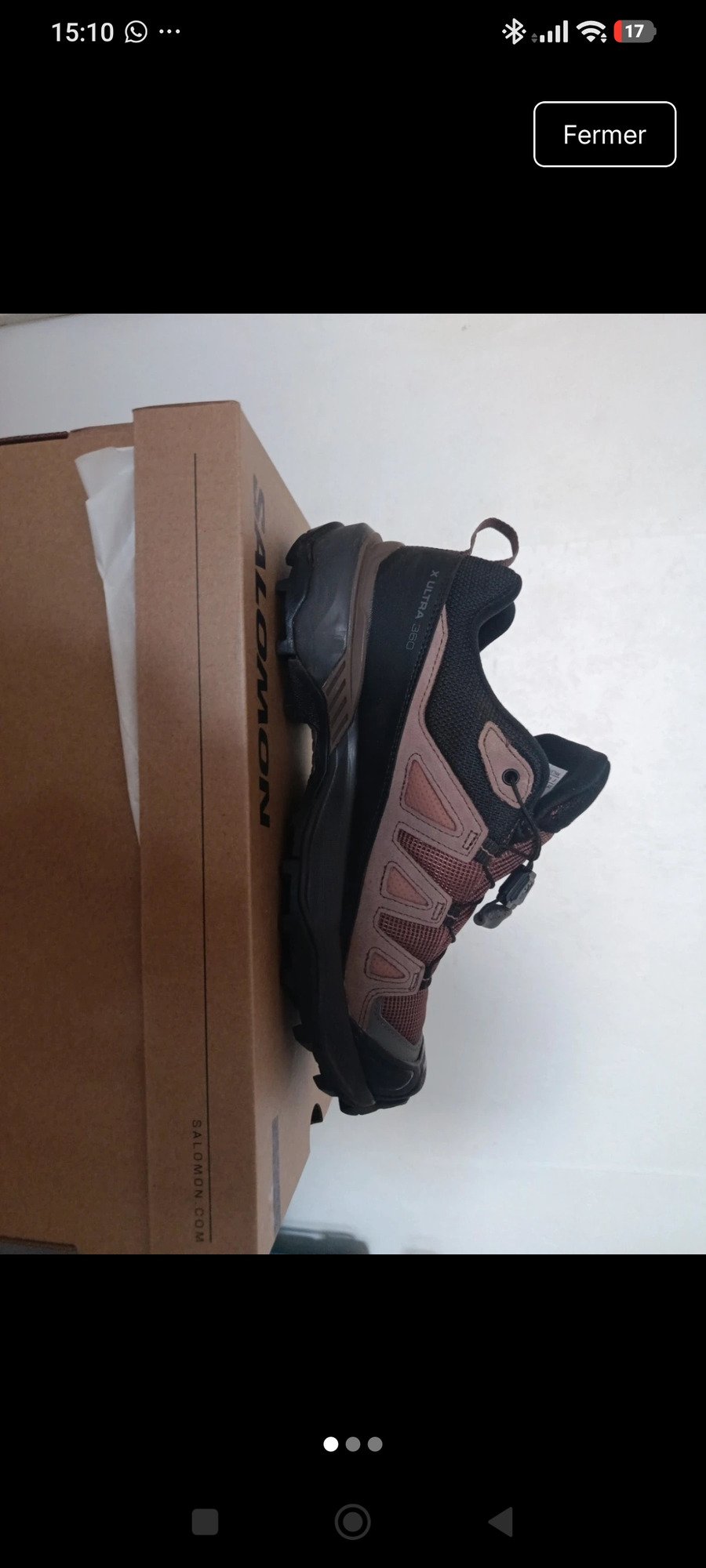 Salomon X ULTRA 360 EDGE