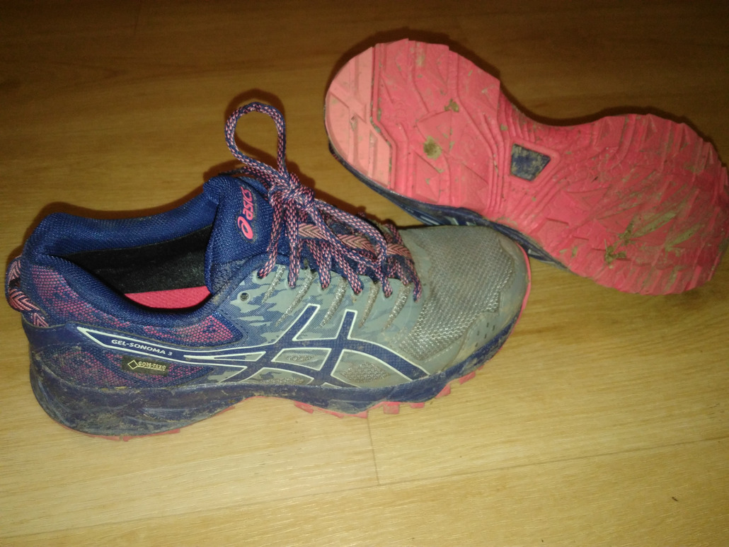 asics gel sonoma 3 gtx femme avis