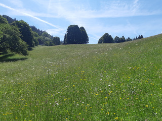 En Vallée Verte