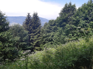 En Vallée Verte