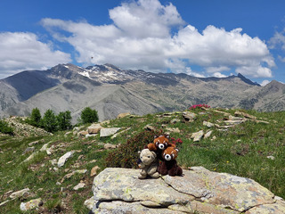 Le Caduc par son arête est
