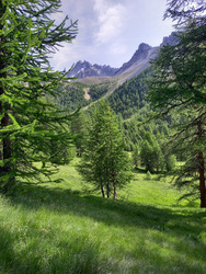 Bivouac en Queyras