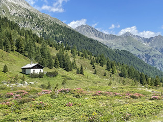 Passo Stalle 
