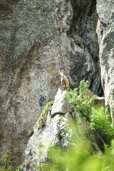 Aiguillette d’Argentière