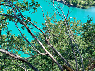 Lac de Chalain - JURA