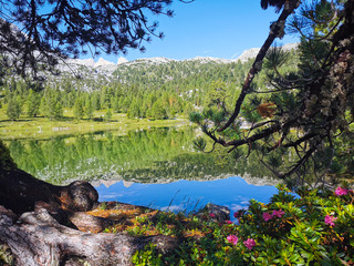 Lac vert et lac de Limo depuis le refuge Pederü ??⛰️☀️