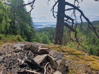 Kolsåtoppen : Randonnée hors piste en forêt