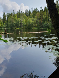 Kolsåtoppen : Randonnée hors piste en forêt