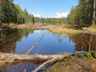 Les lacs de Sognsvann 