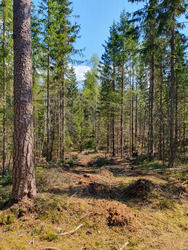 Les lacs de Sognsvann 