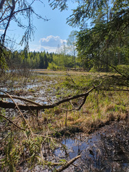Les lacs de Sognsvann 