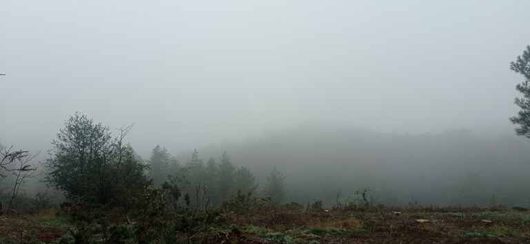 Préparation trail des Légendes de Brocéliande