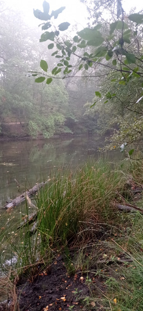 Préparation trail des Légendes de Brocéliande