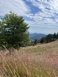 Une escapade tranquille vers le sommet du Petit Ballon !