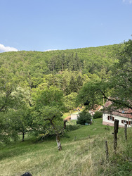 La vallée de Munster, à contempler sous tous les angles !