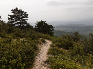 Seul dans la pampa
