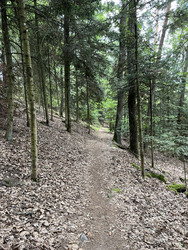 Quand la course devient un défi et le chemin une reconnexion