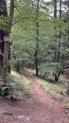 Quand la course devient un défi et le chemin une reconnexion